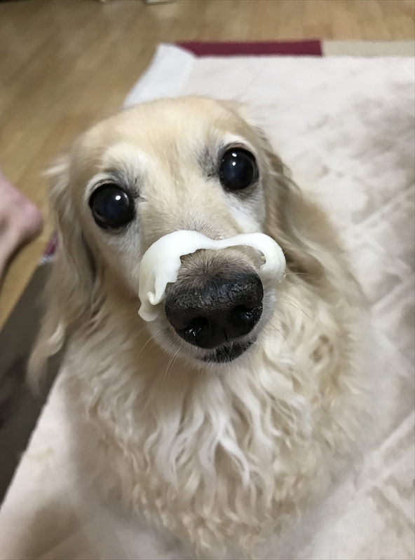 河村 奈緒（かわむら なお）