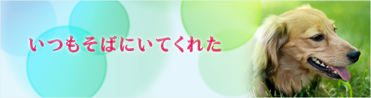 PCのトップイメージ