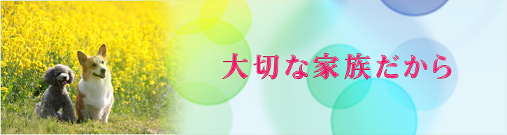 PCのトップイメージ