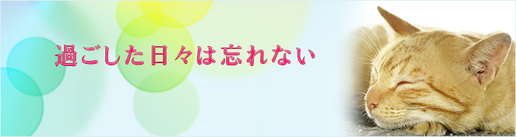 PCのトップイメージ
