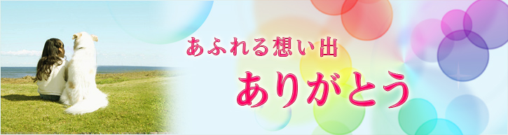 PCのトップイメージ